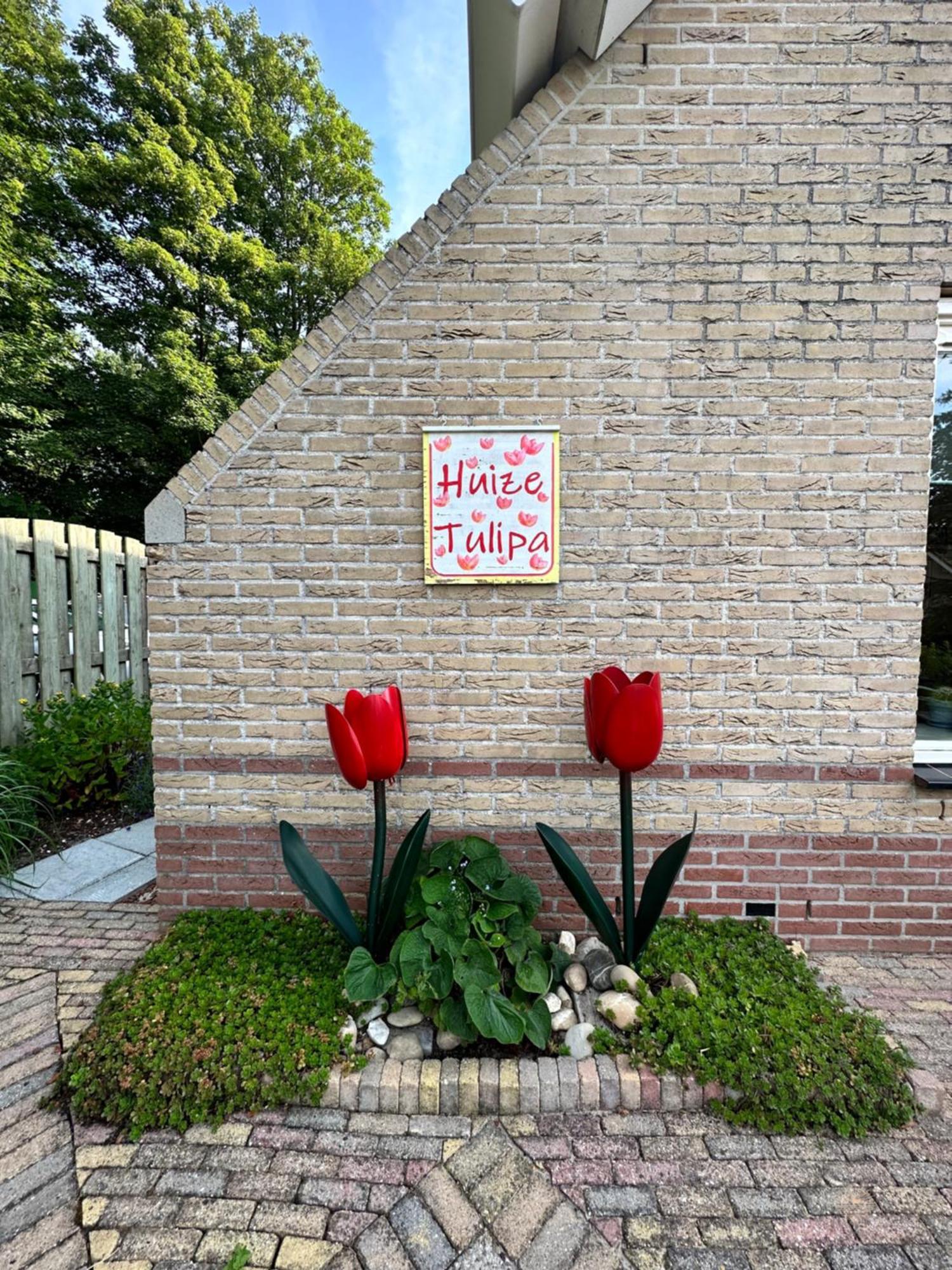 - Tulipa - Vakantiehuis Nabij De Bloembollenvelden, Het Meer En Strand 诺德克豪特 外观 照片